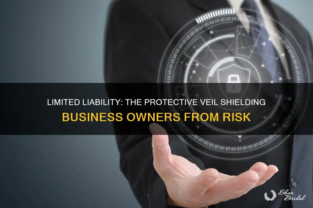 what provides a protective veil for owners