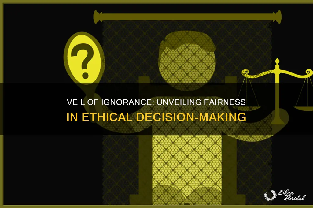 what purpose does the veil of ignorance serve