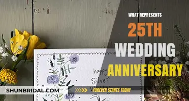 Celebrating Silver Love: 25th Wedding Anniversary Symbolism and Traditions