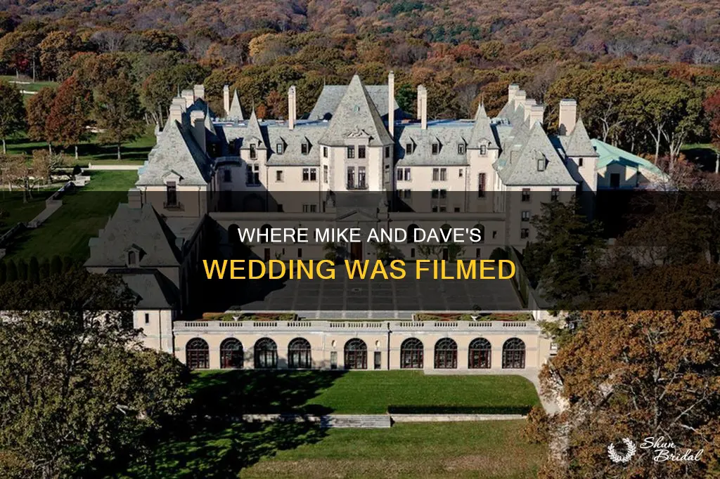 what resort was mike and dave wedding date filmed at