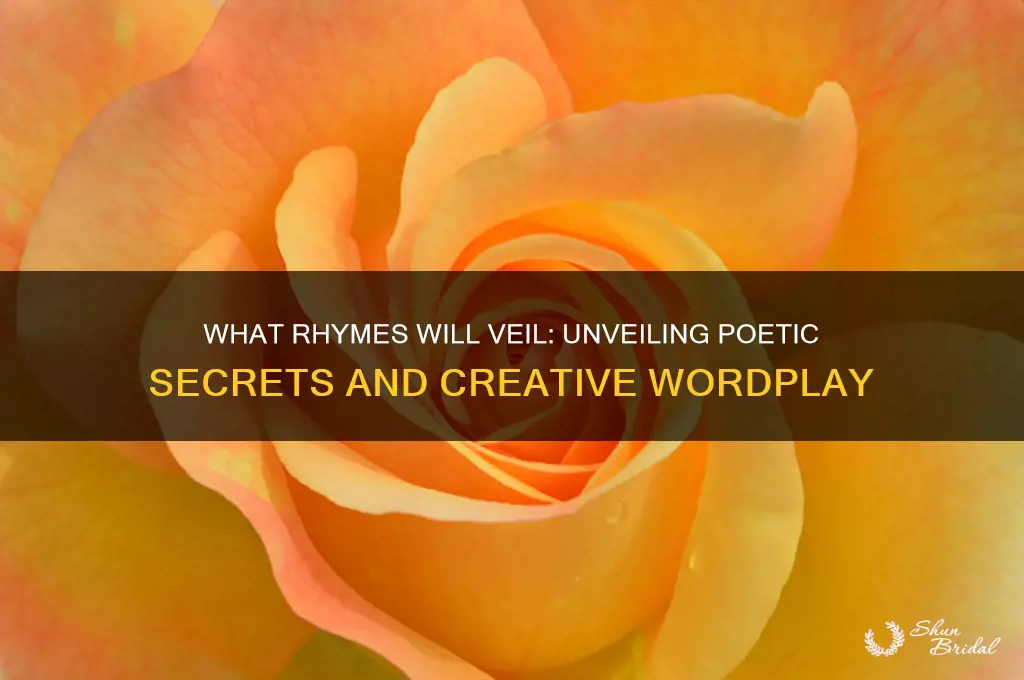 what rhymes will veil