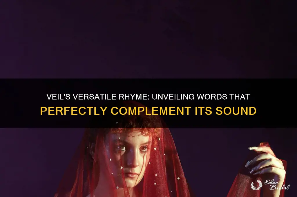 what rhymes with veil
