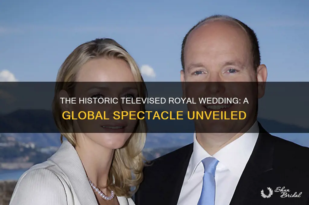 what royal wedding was televised