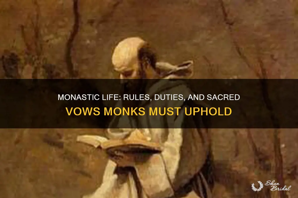 what rules diuties vows must monks follow