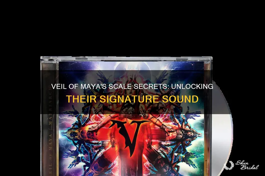 what scales do veil of maya use