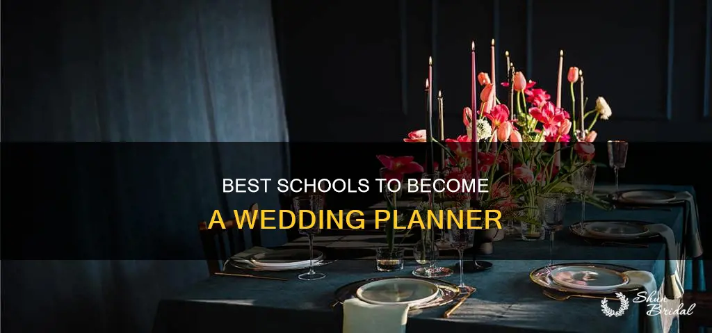 what school do you need to be a wedding planner