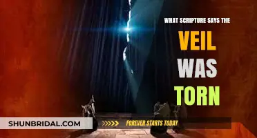The Torn Veil: Unveiling Scripture’s Powerful Message of Redemption