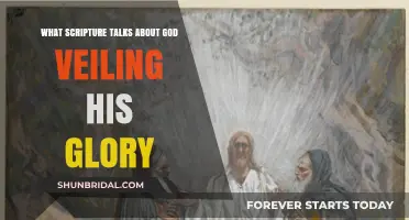Scriptures Revealing God's Veiled Glory: Uncovering Divine Mystery