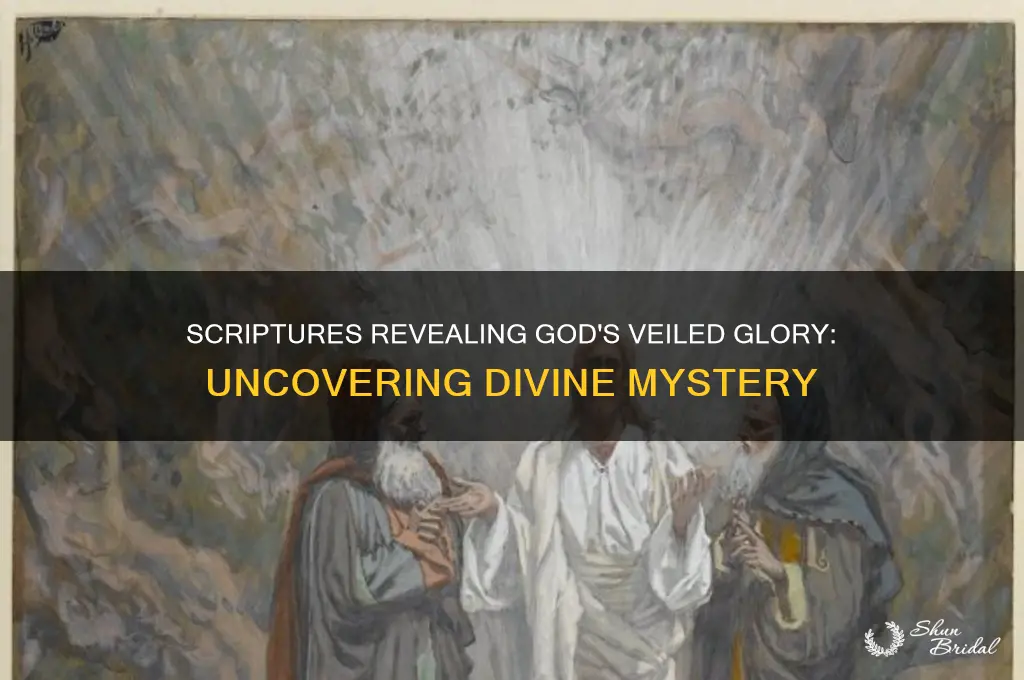 what scripture talks about god veiling his glory