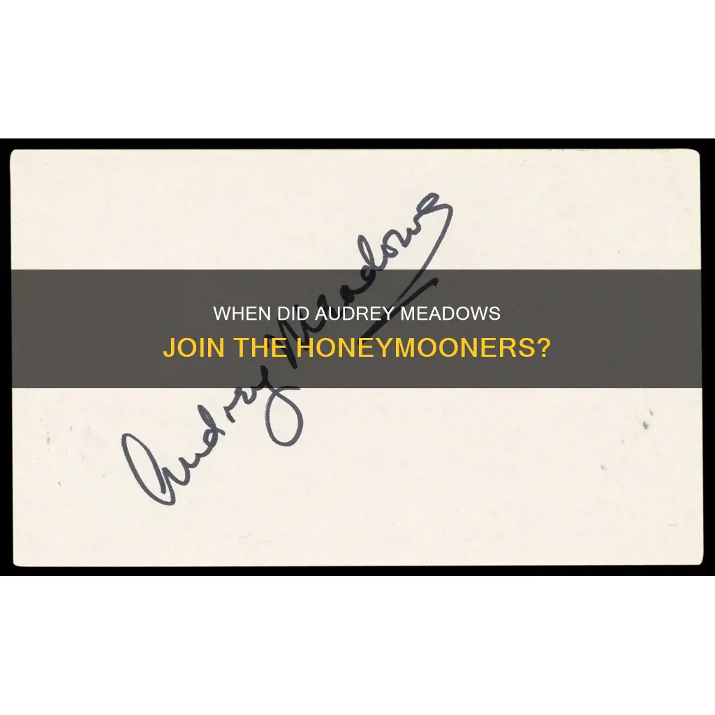 what season does audry medows join honeymooners