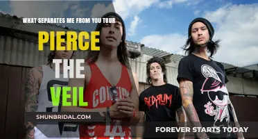 Pierce the Veil's 'What Separates Me From You' Tour: A Retrospective
