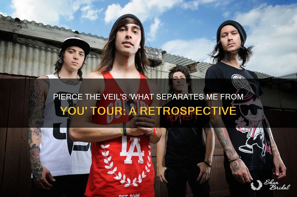 what separates me from you tour pierce the veil