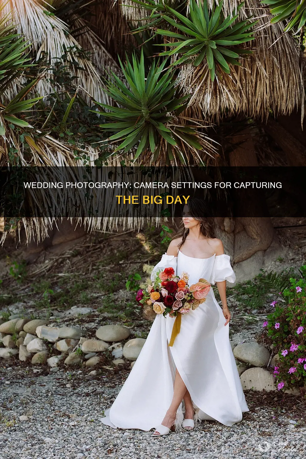 what settings do I use to shoot a wedding