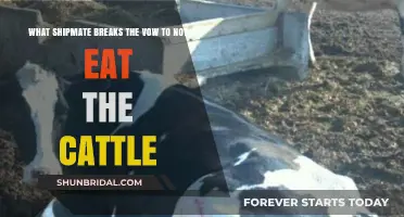 The Cattle Vow: Which Shipmate Couldn't Resist Breaking the Oath?