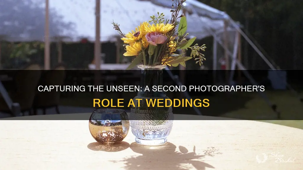 what should 2nd photographer should do at a wedding