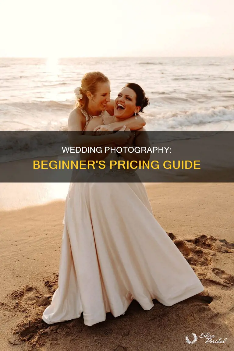 what should a beginner photographer charge for a wedding