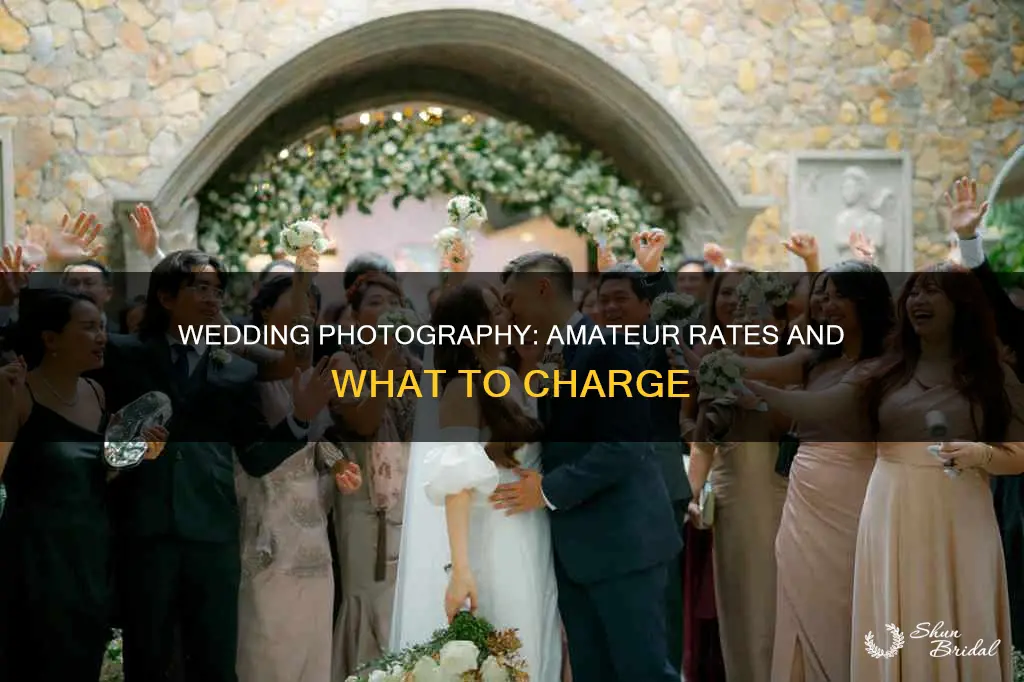 what should an amature photographer charge for a wedding