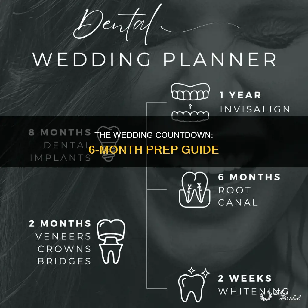 what should be done 6 months before a wedding