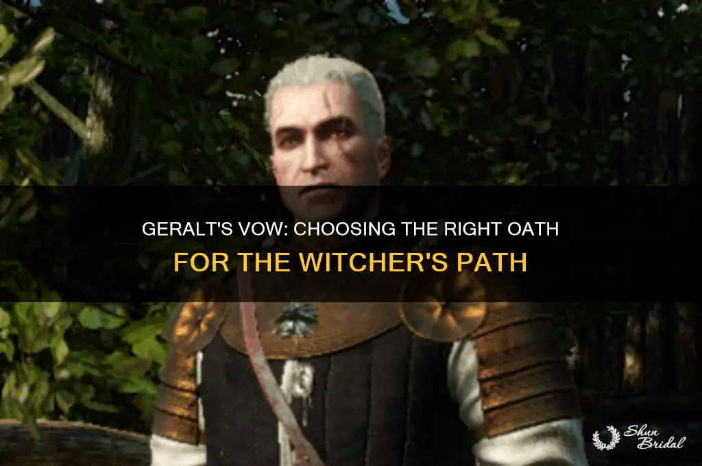 what should geralt make his vow upon