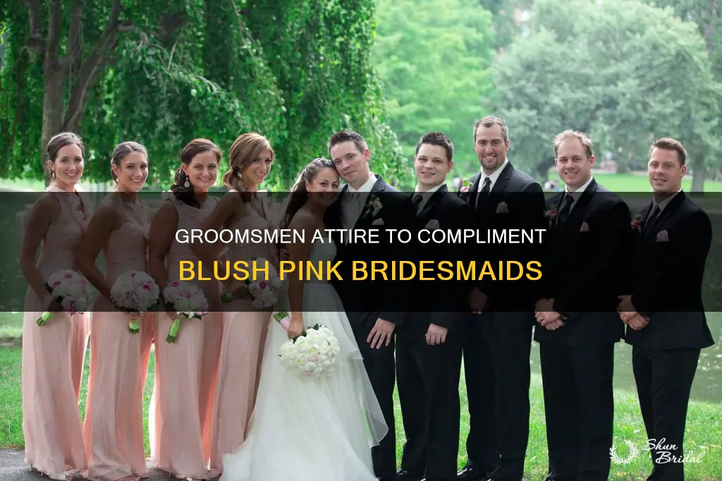 what should groomsmen wear if bridesmaids wear blush pink