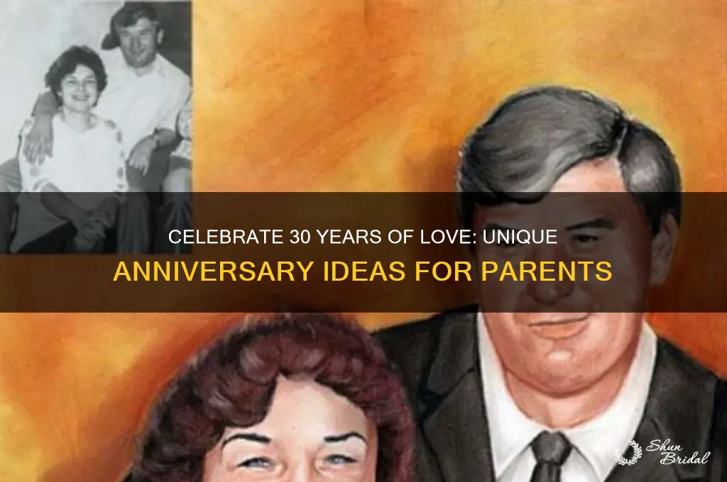 what should I do for my parents 30th wedding anniversary