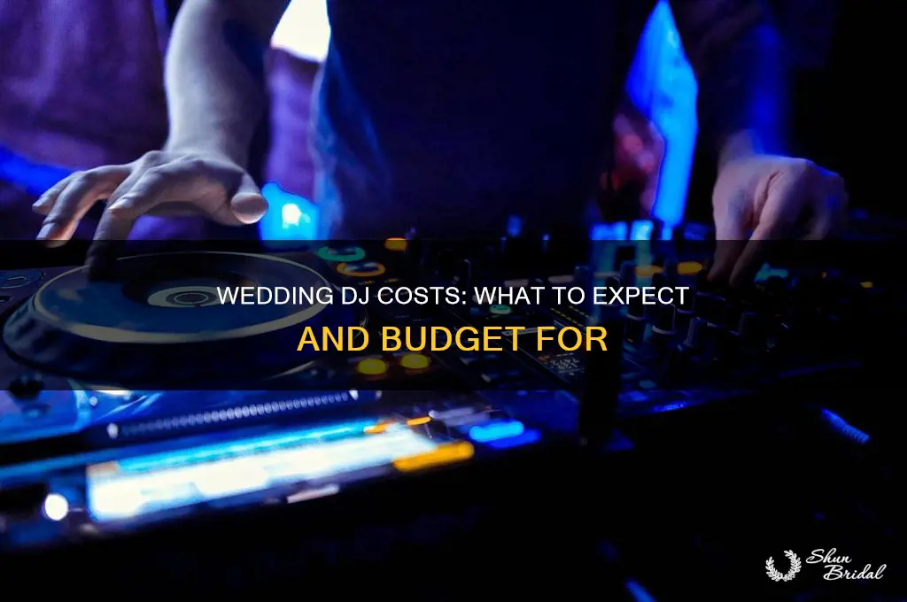 what should I expect to pay for a wedding dj