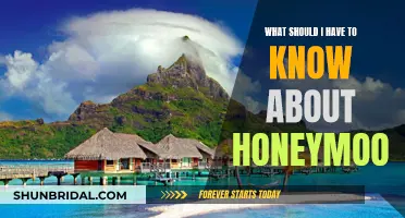 The Ultimate Honeymoon: Planning, Prep, and More