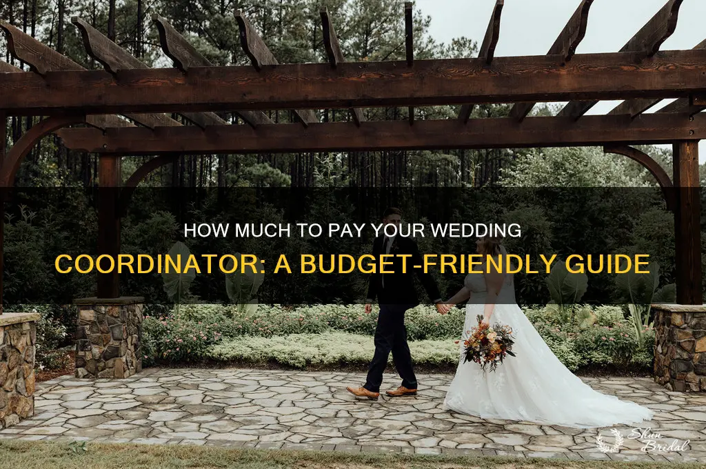 what should I pay my wedding coordinator