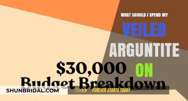 Maximize Your Veiled Arguntite: Smart Spending Strategies for Optimal Results