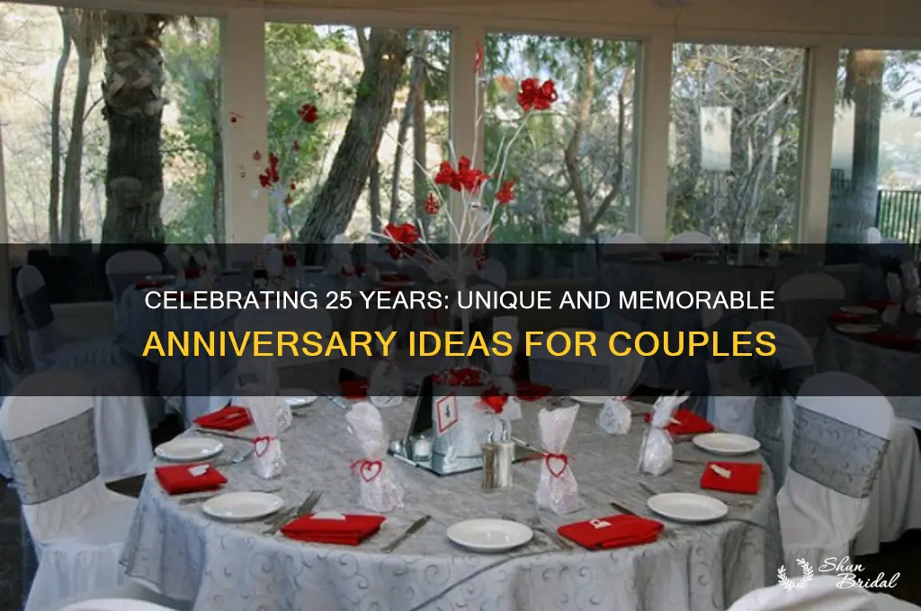 what should we do for our 25th wedding anniversary