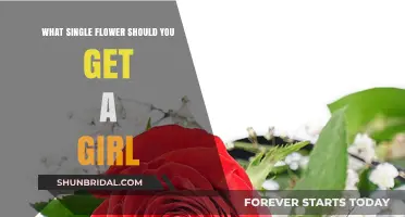 Choosing the Perfect Single Flower to Gift a Girl: A Guide