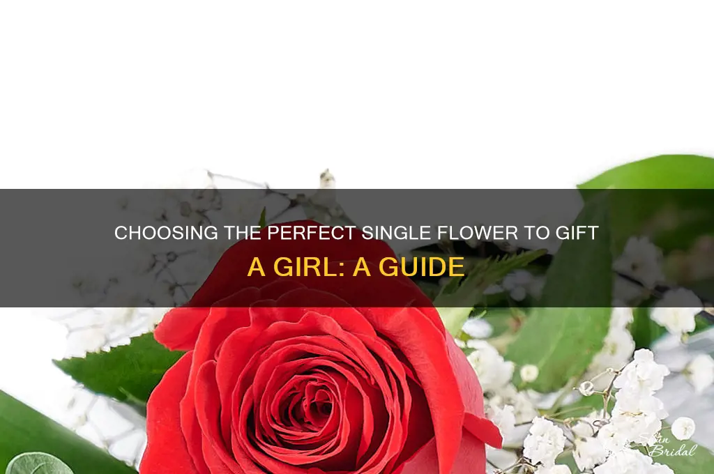 what single flower should you get a girl