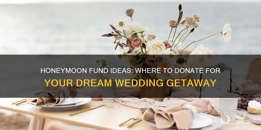 what site can you donate for wedding honeymoon