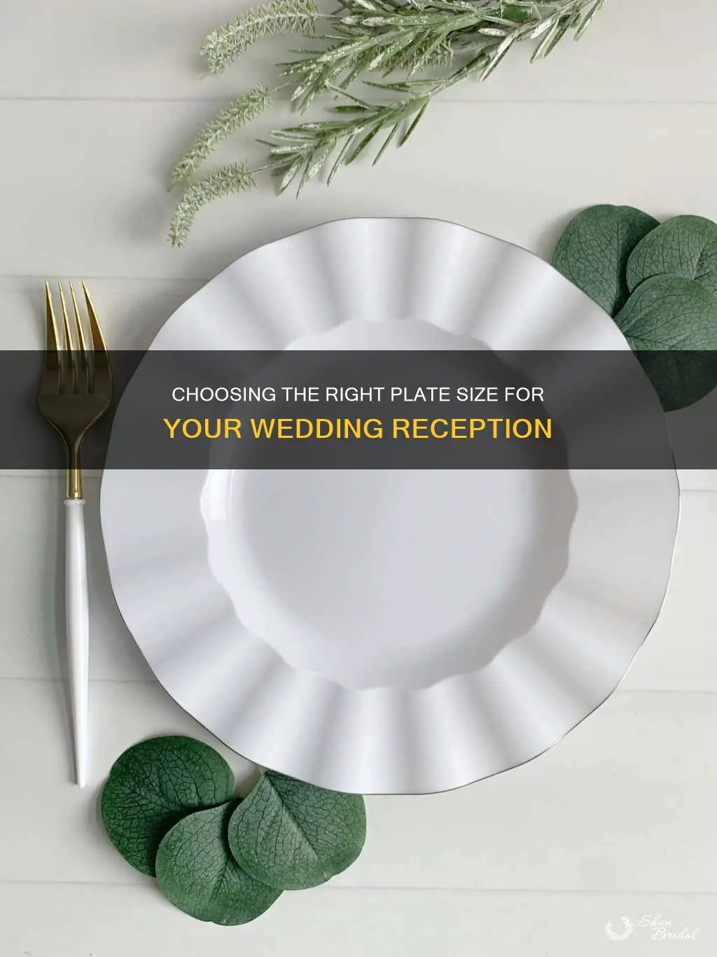 what size disposabke plates di I need fir wedding reception