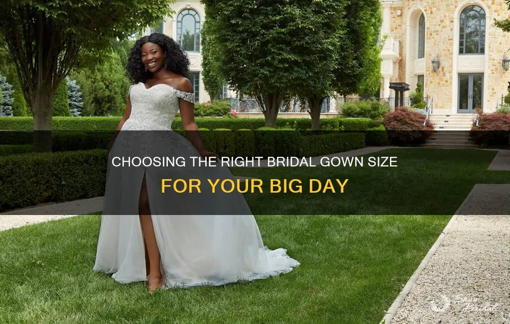 what size do brides need to on wedding day