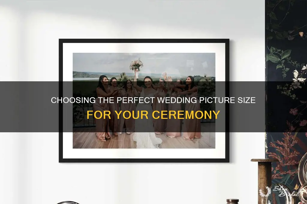what size is a wedding picture at the wedding ceremony