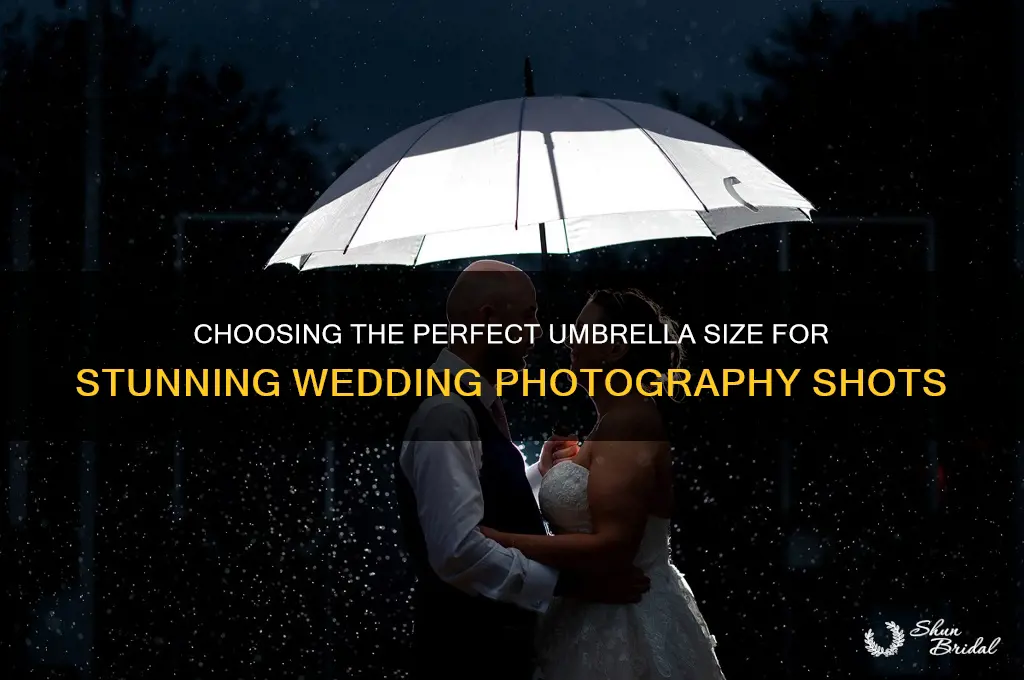 what size umbrella should I buy for wedding photgraphy