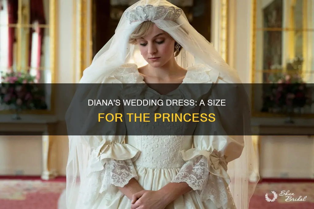 what size was diana