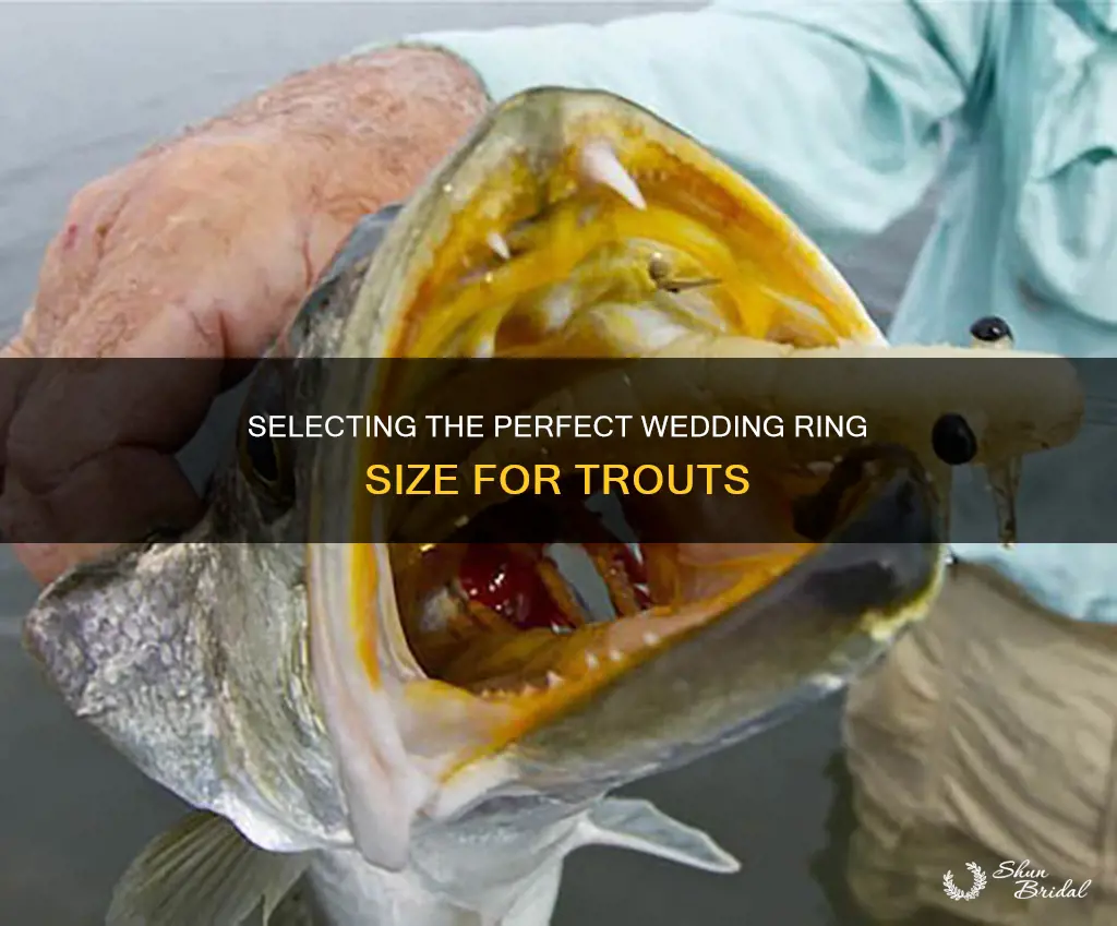 what size wedding ring for trout