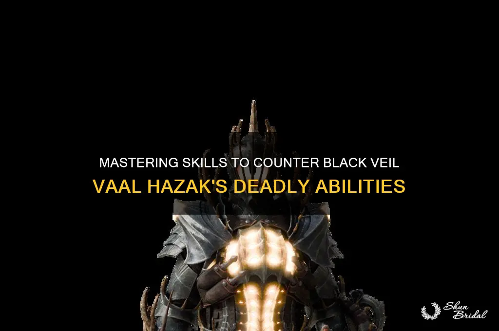 what skills nullify black veil vaal hazak