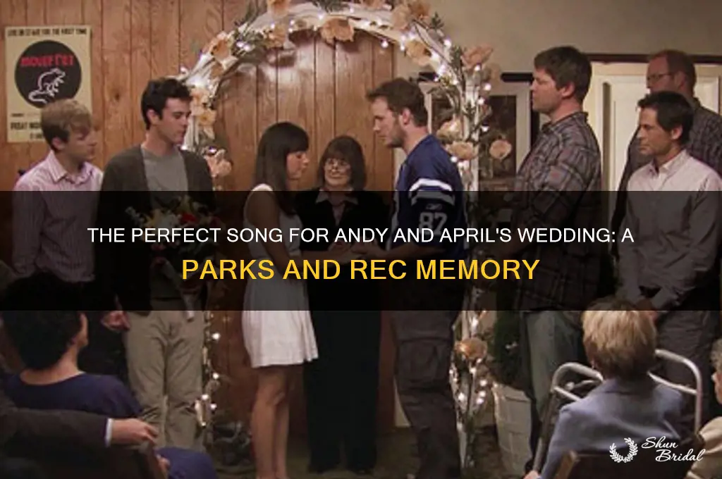 what somg played during andy and aprils wedding