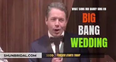 Barry's Big Bang Wedding Song: A Musical Mystery