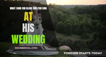 Blake Shelton's Wedding Song Choice Revealed