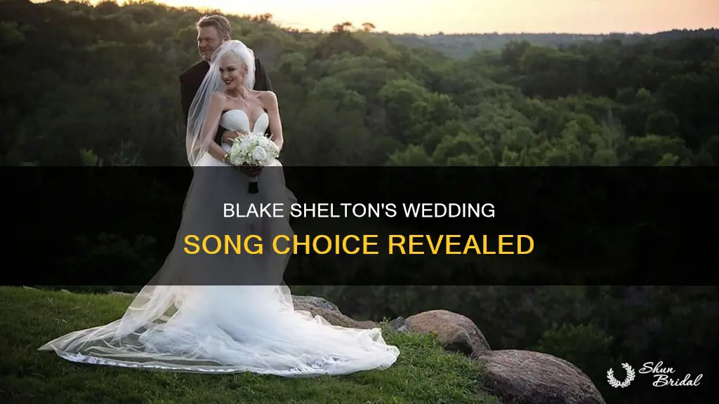 what song did blake shelton sing at his wedding