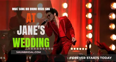Bruno Mars' Surprise Performance at Jane's Wedding