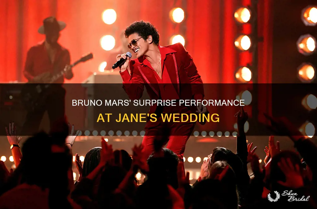 what song did bruno mars sing at jane