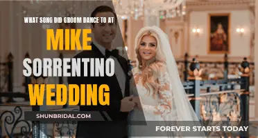 Groom's Dance Song Choice at Mike Sorrentino's Wedding