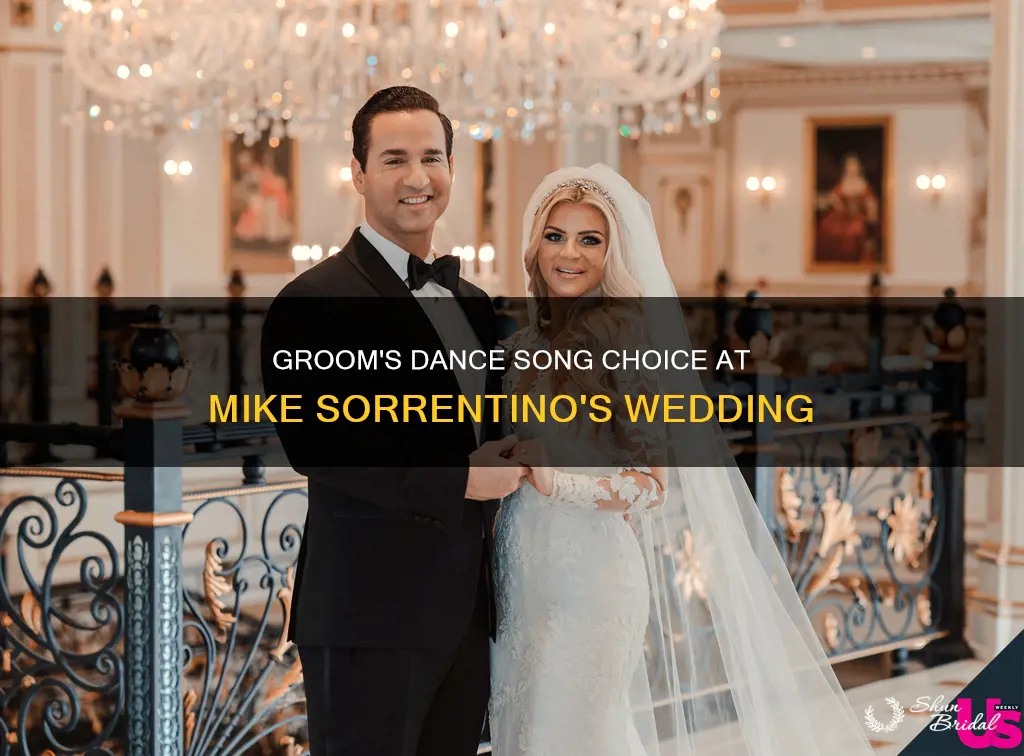 what song did groom dance to at mike sorrentino wedding