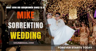 Mike Sorrentino's Wedding: Groomsmen's Epic Dance Song Revealed