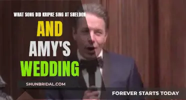 Kripke's Wedding Song for Sheldon and Amy